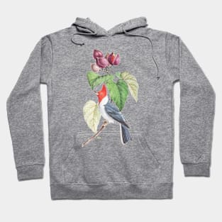 Red Crested Bird Wildlife Illustration Hoodie